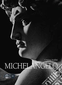 Michelangelo libro
