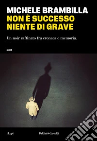 Non è successo niente di grave libro