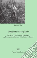 Sfuggente madrepatria. Presenza e assenza del paesaggio nella letteratura italiana della Grande Guerra libro