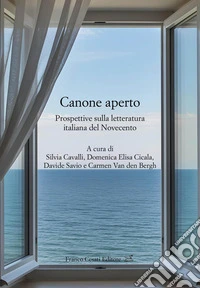 Canone aperto. Prospettive sulla letteratura italiana del Novecento libro