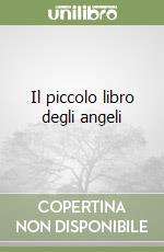 Il piccolo libro degli angeli