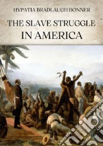 The slave struggle in America libro