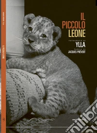 Il piccolo leone. Ediz. illustrata