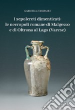 I sepolcreti dimenticati: le necropoli romane di Malgesso e di Oltrona al Lago (Varese)