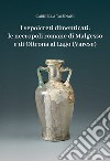 I sepolcreti dimenticati: le necropoli romane di Malgesso e di Oltrona al Lago (Varese) libro di Tassinari Gabriella