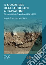 Il quartiere degli artigiani a Calvatone. Gli scavi di Maria Teresa Grassi 2005-2013