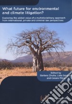 What future for environmental and climate litigation? Exploring the added value of a multidisciplinary approach from international, private and criminal law perspectives libro