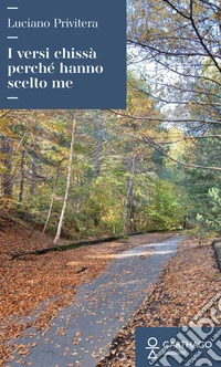I versi chissà perché hanno scelto me libro