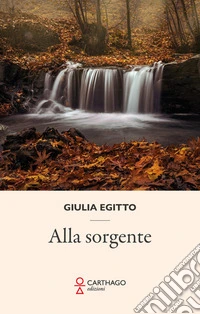 Alla sorgente libro