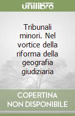 Tribunali minori. Nel vortice della riforma della geografia giudiziaria libro