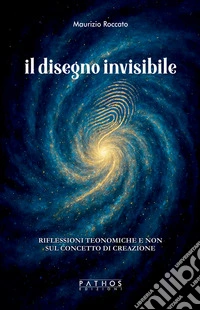 Il disegno invisibile. Riflessioni teonomiche e non sul concetto di creazione libro