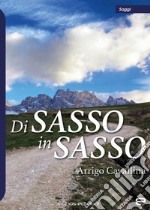 Di sasso in sasso libro