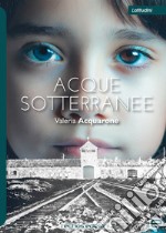 Acque sotterranee libro