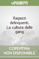 Ragazzi delinquenti. La cultura delle gang