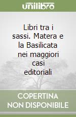 Libri tra i sassi. Matera e la Basilicata nei maggiori casi editoriali libro