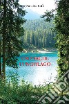 Cronache lungolago libro