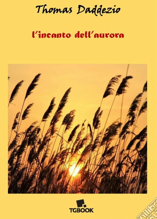 L'incanto dell'aurora