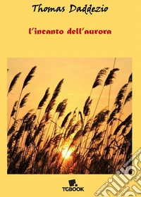 L'incanto dell'aurora libro