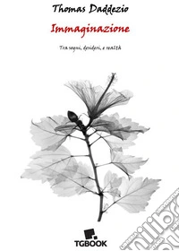 Immaginazione. Tra sogni, desideri e realtà libro