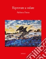 Riprovare a volare libro