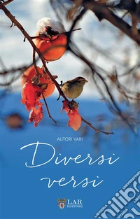 Diversi versi. Nuova ediz. libro