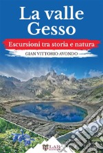 La valle Gesso. Escursioni tra storia e natura libro