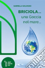 Briciola... una goccia nel mare... libro