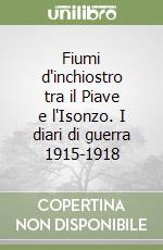Fiumi d'inchiostro tra il Piave e l'Isonzo. I diari di guerra 1915-1918 libro