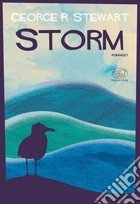 Storm