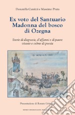 Ex voto del Santuario Madonna del bosco di Ozegna. Storie di disgrazie, d'affanni e di paure vissute e colme di poesia libro