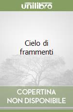 Cielo di frammenti libro
