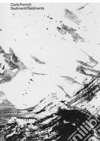 Sedimenti-Sediments. Ediz. bilingue libro