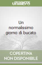 Un normalissimo giorno di bucato libro
