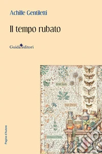 Il tempo rubato libro