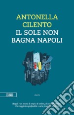 Il sole non bagna Napoli libro