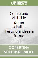 Com'erano visibili le prime scintille. Testo olandese a fronte libro