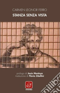 Stanza senza vista libro