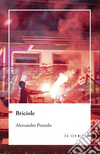 Briciole libro