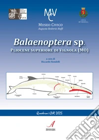 Balaenoptera sp. Pliocene superiore di Vignola (MO) libro
