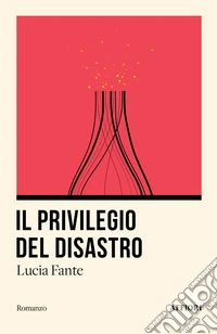 Il privilegio del disastro libro