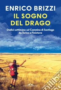 Il sogno del drago. Dodici settimane sul Cammino di Santiago da Torino a Finisterre libro