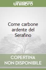 Come carbone ardente del Serafino libro