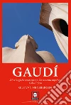 Gaudí libro