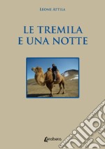 Le tremila e una notte