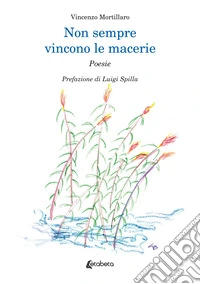 Non sempre vincono le macerie libro