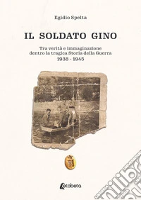 Il soldato Gino. Tra verità e immaginazione dentro la tragica storia della guerra 1938-1945 libro