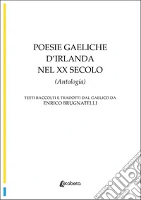 Poesie gaeliche d'Irlanda nel XX secolo libro