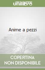 Anime a pezzi