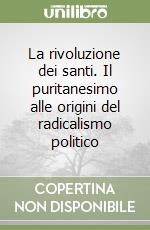 La rivoluzione dei santi. Il puritanesimo alle origini del radicalismo politico