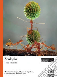 Zoologia libro